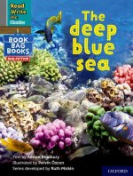 Read Write Inc. Phonics: Grey Set 7 NF Book Bag Book 8 The deep blue sea