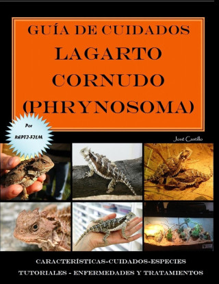 Guía de cuidados del lagarto cornudo (Phrynosoma) Versión económica
