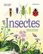 Insectes