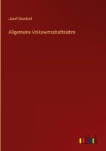Allgemeine Volkswirtschaftslehre