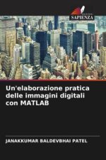Un'elaborazione pratica delle immagini digitali con MATLAB