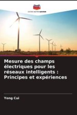 Mesure des champs électriques pour les réseaux intelligents : Principes et expériences