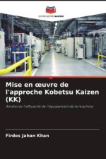 Mise en oeuvre de l'approche Kobetsu Kaizen (KK)