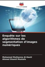 Enqu?te sur les algorithmes de segmentation d'images numériques