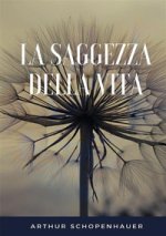 saggezza della vita