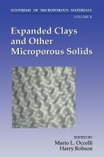 Synthesis of Microporous Materials: Expanded Clays and Other Microporous Solids