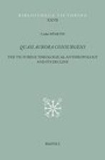 Quasi Aurora Consurgens: The Victorine Theological Anthropology and Its Decline
