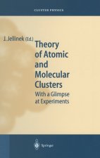 Theory of Atomic and Molecular Clusters