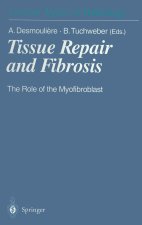 Tissue Repair and Fibrosis: The Role of the Myofibroblast