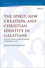 Spirit, New Creation, and Christian Identity