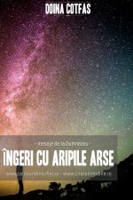 Îngeri cu aripi arse (,,mesaje de la Dumnezeu,,)