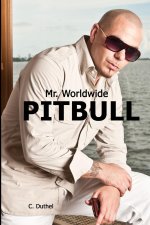 Pitbull - Mr. Worldwide