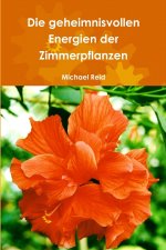 Die geheimnisvollen Energien der Zimmerpflanzen