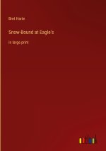 Snow-Bound at Eagle's