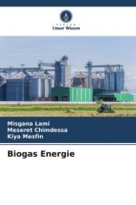 Biogas Energie
