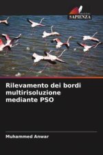Rilevamento dei bordi multirisoluzione mediante PSO