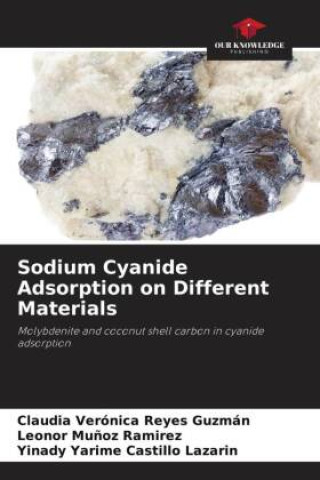 Sodium Cyanide Adsorption on Different Materials (Leonor Mu?oz Ramirez,Yinady Yarime Castillo Lazarin)(Miękka)