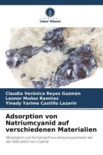 Adsorption von Natriumcyanid auf verschiedenen Materialien
