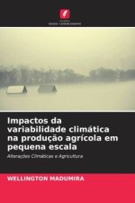 Impactos da variabilidade climática na produç?o agrícola em pequena escala