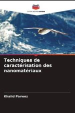 Techniques de caractérisation des nanomatériaux