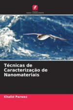 Técnicas de Caracterizaç?o de Nanomateriais