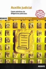 Casos prácticos de Diligencias Judiciales Auxilio Judicial