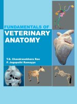 Fundamentals Of Veterinary Anatomy