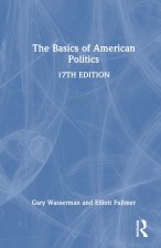 Basics of  American Politics