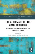 Aftermath of the Arab Uprisings