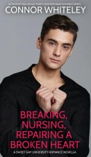 Breaking, Nursing, Repairing A Broken Heart: A Sweet Gay University Romance Novella