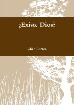 ?Existe Dios?