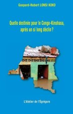 Quelle destinée pour le Congo-Kinshasa, apr?s un si long déclin ?