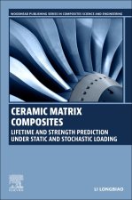 Ceramic Matrix Composites