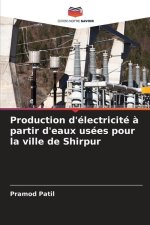 Production d'électricité ? partir d'eaux usées pour la ville de Shirpur