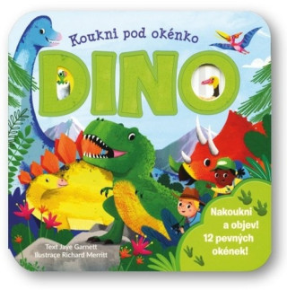 Kniha Dino
