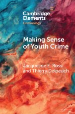 Making Sense of Youth Crime
