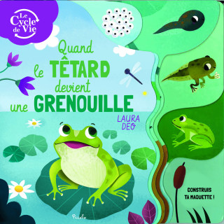 Quand le têtard devient grenouille