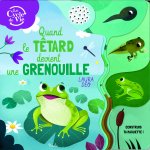 Quand le têtard devient grenouille