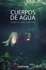 Cuerpos de agua