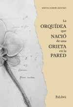 LA ORQUIDEA QUE NACIO DE UNA GRIETA EN LA PARED