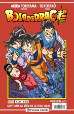 BOLA DE DRAC SERIE VERMELLA Nº 302