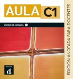 Aula internacional Plus 6