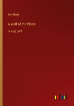 A Waif of the Plains