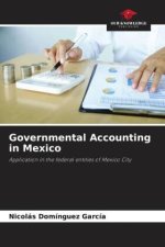Governmental Accounting in Mexico