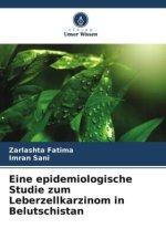 Eine epidemiologische Studie zum Leberzellkarzinom in Belutschistan