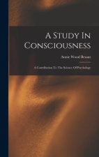 A Study In Consciousness: A Contribution To The Science Of Psychology