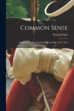 Common Sense: Addressed To The Inhabitants Of America... By T. Pain