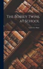The Bobsey Twins at School