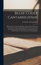Bezae Codex Cantabrigiensis: Being An Exact Copy, In Ordinary Type, Of The Celebrated Uncial Graeco-latin Manuscript Of The Four Gospels And Acts O