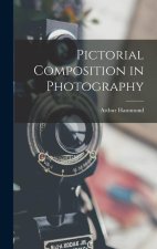 Pictorial Composition in Photography